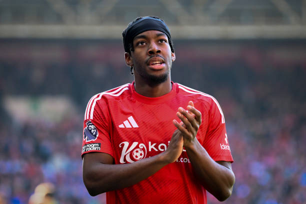 仅反映了米 仅反映了米