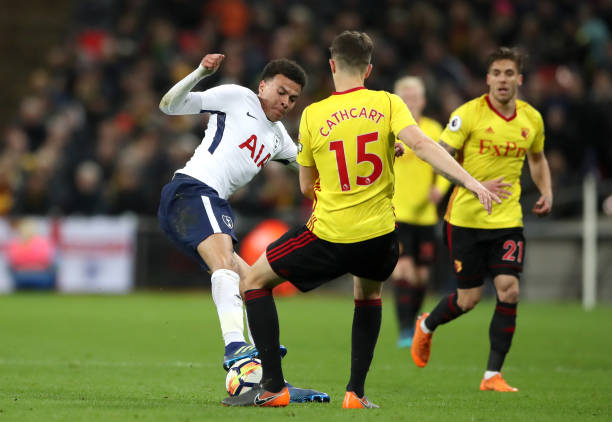 育的关注与 育的关注与