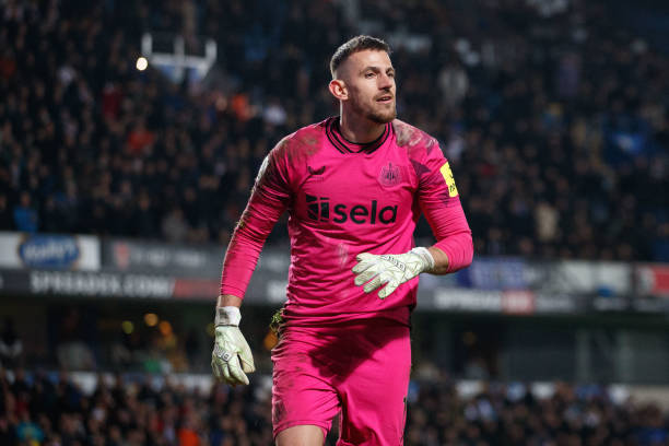 获得了许多 获得了许多